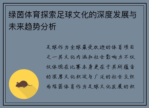 绿茵体育探索足球文化的深度发展与未来趋势分析
